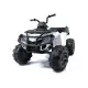 Quad BDM 0909 baltas 24V elektrinis keturratis