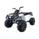 Quad BDM 0909 baltas 24V elektrinis keturratis