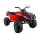 Raudonas Quad BDM 0909 24V elektrinis keturratis