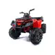 Raudonas Quad BDM 0909 24V elektrinis keturratis