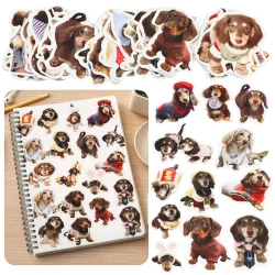 Spaniels uzlīmju komplekts 50 gab.