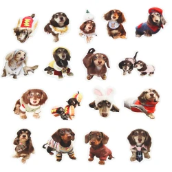 Spaniels uzlīmju komplekts 50 gab.