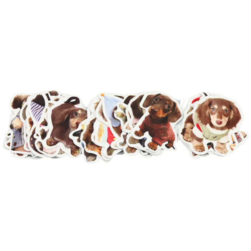 Spaniel tarrasarja 50 kpl. Pienet paperitavarat