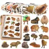 Capybara Paper Stickers Set Real Images 50 pcs. Väikesed kirjatarbed