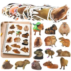 Kapibaru uzlīmju komplekts ar reālistiskām fotogrāfijām, 50 gab.