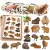 Capybara Paper Stickers Set Real Images 50 pcs.