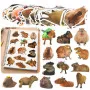 Capybara Paper Stickers Set Real Images 50 pcs.