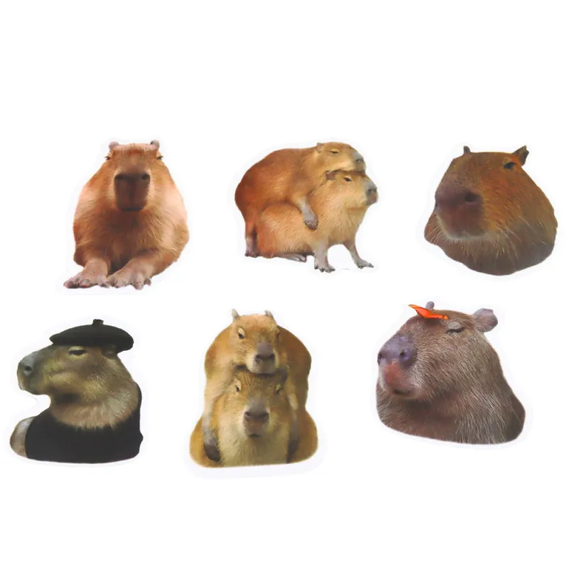 Capybara Paper Stickers Set Real Images 50 pcs. Väikesed kirjatarbed