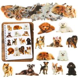 Suņu uzlīmju komplekts 50 gab.