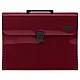 Bordeaux A4 Document Holder with 13 Compartments