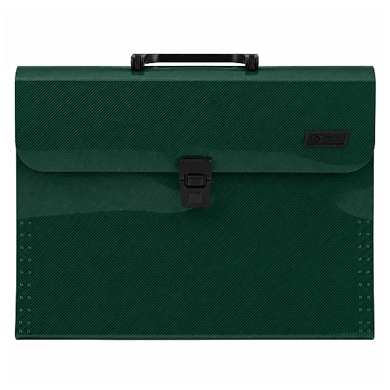 Green A4 document holder with 13 compartments