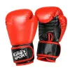 Bokso sporto rinkinys: pirštinės ir treniruočių pagalvėlė 2-in-1 MUAY THAI