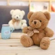 Plush Mascot Cuddly Toy Big Teddy Bear With Bow Brown 40cm Pliušiniai žaislai