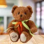 Плюшевый коричневый мишка с каскадом зелёно-красного цвета