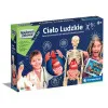 Žmogaus kūnas lenkų kalba Clementoni 60249 Lavinamieji