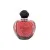 Dior Poison Girl Edp 100ml