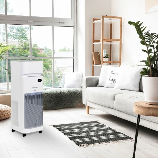 Oro filtras Webber AP9650 Elektronika ir buitiniai prietaisai WEBBER