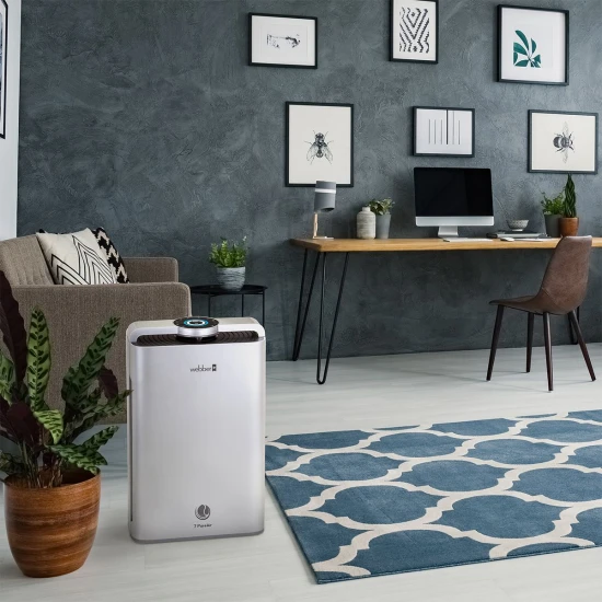 Oro valytuvas sidabrinės spalvos WI-FI  WEBBER AP9700 Elektronika ir buitiniai prietaisai WEBBER