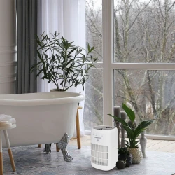 Oro sausintuvas Webber DEQ10