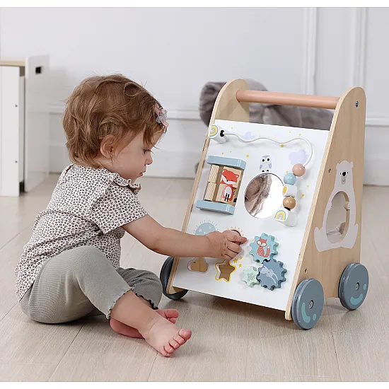 Medinė vaikštynė su stumimo rankena ECOTOYS