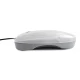 Magnetinis baseino šviestuvas, LED INTEX 28698