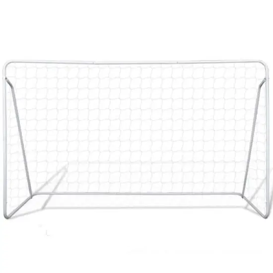 Futbolo vartai su tinklu 300 x 200 cm MOVEPRO