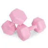 Set of 2 dumbbells, 3 kg each