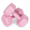 Set of 2 dumbbells, 3 kg each