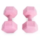 Hantelių rinkinys 2 vnt. po 4 kg