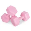 Hantelių rinkinys 2 vnt. po 4 kg