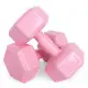 Hantelių rinkinys 2 vnt. po 4 kg