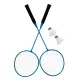 Badmintono rinkinys su sulankstomu tinklu 300 x 156 cm MOVEPRO