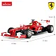 Tālvadības automašīna Ferrari F1 Rastar 53800