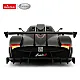 Pagani Zonda R Rastar remote control car