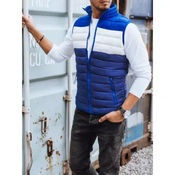 Edendamine: meeste sinine vest Ters