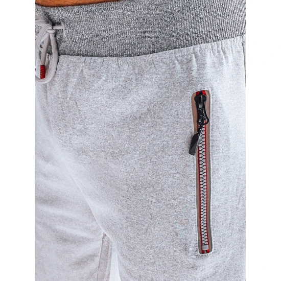 Šortai pilkos spalvos Tavor SX2270