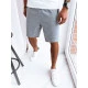 Pilki laisvalaikio šortai Biren SX2245