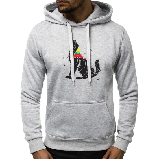 Pilkos spalvos vyriškas džemperis su gobtuvu Vilkas JS/2009