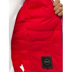 Pereinamojo laikotarpio raudona vyriška striukė Maril