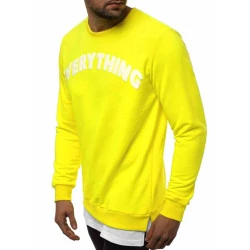Geltonas vyriškas džemperis Ever