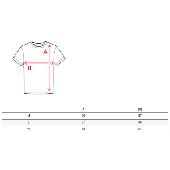 Vyriški rusvos spalvos marškinėliai Simple RX4597
