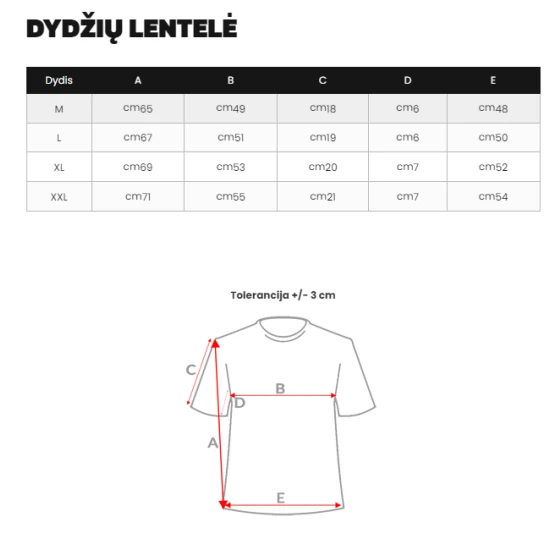 Vyriški marškinėliai su spauda Fast JS/8T1210/1