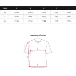 Vyriški balti marškinėliai Dont give up 