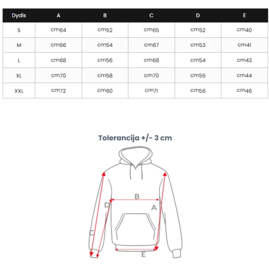 Vyriškas mėlynas džemperis su gobtuvu Back O/TT30513