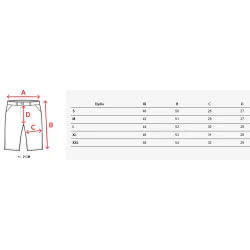 Vyriški mėlynos spalvos šortai Aidis