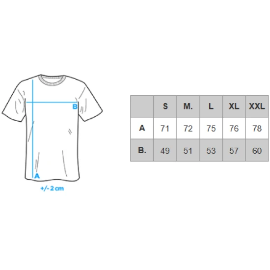 Vyriški baltos spalvos marškinėliai Authentic V1 OM-TSFP-0225