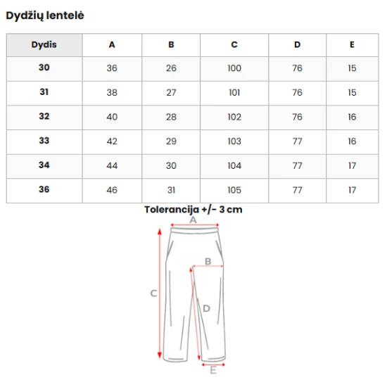 Vyriškos pilkos kelnės Alton DJ/5505