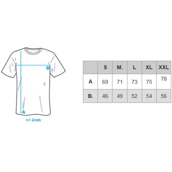 Vyriški pilkos spalvos marškinėliai Montel V8 OM-TSWT-0242