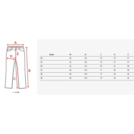 Meeste elegantsed helehallid püksid Rad UX4291