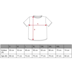 Vyriški žali polo marškinėliai Pegaso